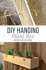 Image result for Indoor Hanging Planter Box