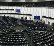 Image result for European Parliament Elections
