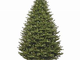 Image result for GE 7.5-Ft Colorado Spruce Pre-Lit Traditional Artificial Christmas Tree With 800 Constant Clear Incandescent Lights