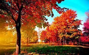 Image result for Autumn Backgrounds Free Downloads
