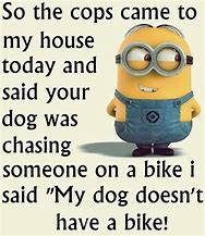 Image result for Crazy Funny Quotes and Jokes