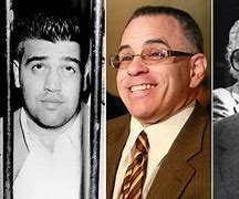 Image result for New York Mafia Families