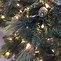 Image result for Fake Christmas Trees