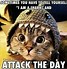 Image result for Funny Animal Stay Positive Images