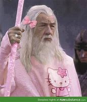 Image result for Wizard Hood