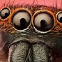 Image result for Spider with Eyes On Back