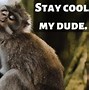 Image result for Cute Animal Saying Bye
