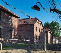 Image result for Ohrdruf Concentration Camp