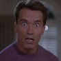 Image result for Arnold Schwarzenegger Jingle All the Way