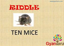 Image result for Mouse Riddle
