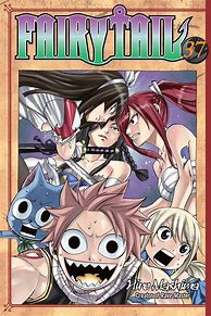 Image result for Fairy Tail Books