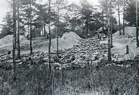 Image result for Katyn Forest Massacre