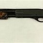 Image result for eBay Guns for Sale Used