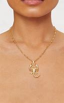 Image result for Scorpion Necklace