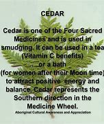 Image result for Cedar Medicine
