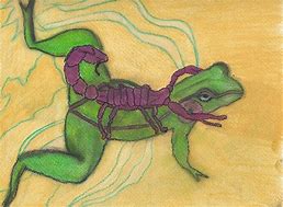 Image result for Frog and Scorpion Drawing
