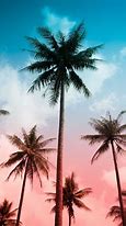 Image result for Summer Vibes