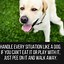 Image result for Cute Dog Funny Quotes