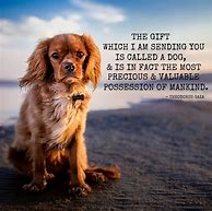 Image result for Dog Love Quotes