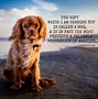 Image result for Motivational Pet Quotes
