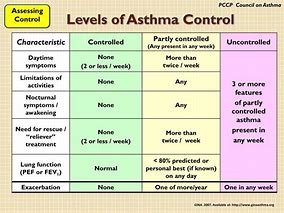 Image result for Levels of Asthma