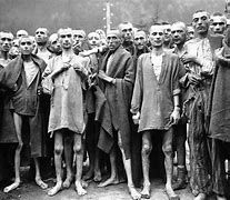 Image result for Jewish Shoah