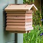 Image result for Honey Bee Home