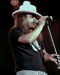 Image result for Ronnie Van Zant On Stage