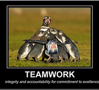 Image result for Funny Teamwork Quotes Working Together