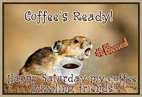 Image result for Funny Saturday Wishes
