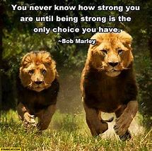 Image result for Funny Be Strong Quotes