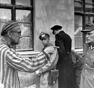 Image result for Concentration Camps Liberated