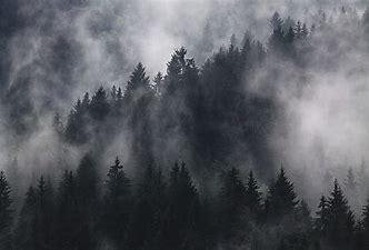 Image result for royalty free picture of fog