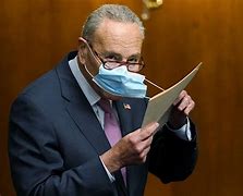 Image result for Chuck Schumer Face Mask
