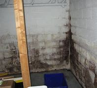 Image result for Remove Mold From Basement Walls