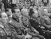 Image result for Otto Skorzeny Old