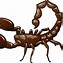 Image result for Scorpion Animal Clip Art