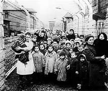 Image result for Year Auschwitz Liberated