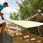 Image result for Plywood Shed