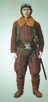 Image result for WW2 Japanese Pilot Brown Flight Uniform