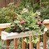 Image result for Box Plants Planters On Patio