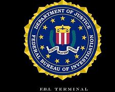 Image result for FBI Most Wanted Hannah