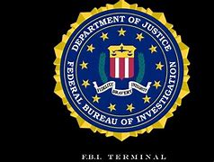 Image result for FBI Most Wanted Roxy Sternberg