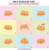 Image result for How Are You Feeling Today Cat