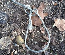 Image result for Hunting Snares and Traps