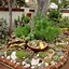 Image result for Beautiful Succulent Container Garden