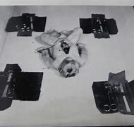 Image result for Mengele Medical Experiments