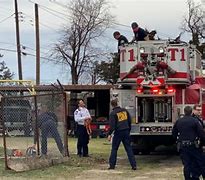 Image result for Body Found Hanging From Tree
