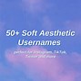 Image result for Aesthetic Discord Usernames