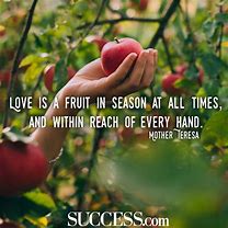 Image result for Timeless Love Quotes